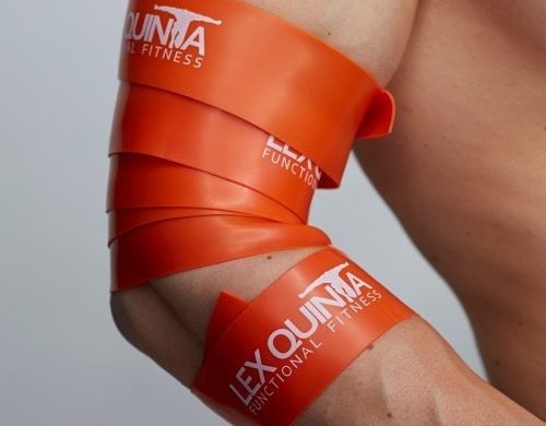 Lex Quinta Floss Band