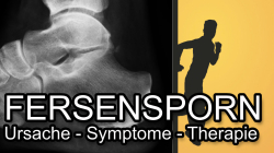 Fersensporn