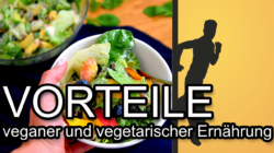 Vorteile veganer und vegetarischer Ernährung