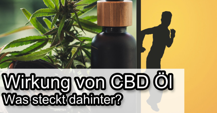 CBD Öl