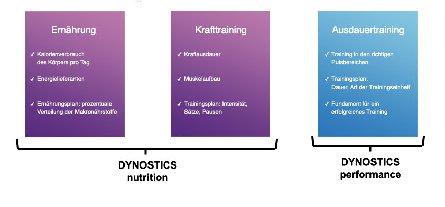 Dynostics 3 Säulen